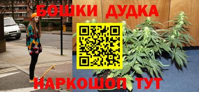 крисы Апшеронск