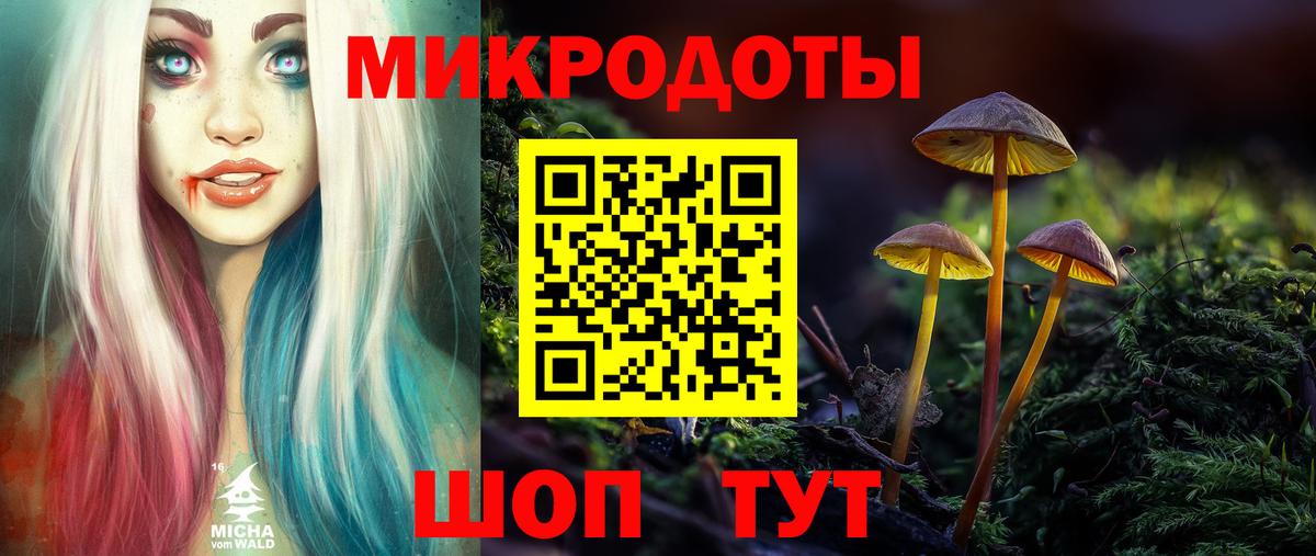 Галлюциногенные грибы GOLDEN TEACHER  Псилоцибиновые грибы GOLDEN TEACHER  Вязьма  Вход с VPN 